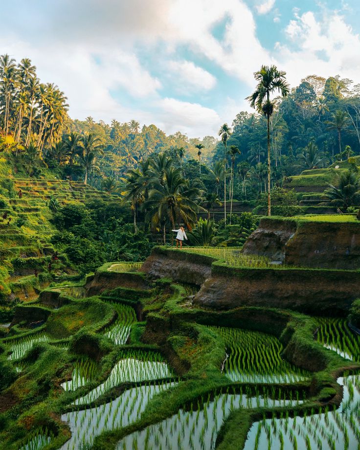 Unveiling the Soul of Bali: A Premium Cultural & Historical Journey Through Ubud with Bali Adventure Guides