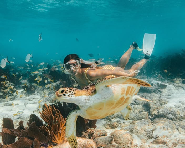 Snorkling Bali In Blue Lagoon With Lunch 