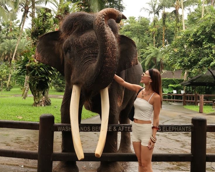 ELEPHANT SANCTUARY, BALI SWING AND HIDDEN WATERFALL 